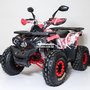 Comman TaoTao Scrambler 150cc Графіті, image , зображення 10