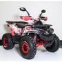 Comman TaoTao Scrambler 150cc Графіті, image , зображення 2