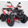 Comman TaoTao Scrambler 150cc Графіті, image , зображення 8