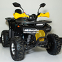 Forte ATV125P Блакитно-жовтий, image , зображення 10