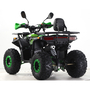 Forte ATV125G Зелений, image , зображення 20