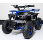 Дитячий електроквадрік Motoleader PIONEER 1000W 48V, image , зображення 2