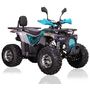 Forte ATV125P Cіро-блакитний, image , зображення 8