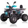 Forte ATV125P Cіро-блакитний, image , зображення 9