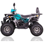 Forte ATV125P Cіро-блакитний, image , зображення 11