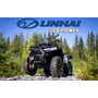 Linhai LH300ATV-3D Promax (4X4) Сірий, image , зображення 8