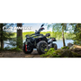 Linhai LH300ATV-3D Promax (4X4) Сірий, image , зображення 9