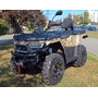Linhai ATV PATHFINDER F320 EFI Камуфляж, image 