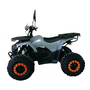 Електроквадрік Hummer TJ-Rider 1500W Сірий (для дітей та підлітків), image , зображення 3