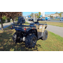 Linhai ATV PATHFINDER F320 EFI Камуфляж, image , зображення 6
