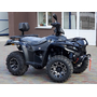 Linhai LH300ATV-3D Promax(4X4) Сірий, image , зображення 2