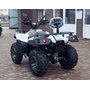 Linhai LH300ATV-3D Promax (4X4) Білий, image , зображення 6