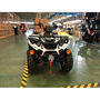 Linhai LH300-3D 4х4, image , зображення 10