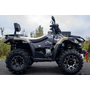 Linhai LH300ATV-3D Promax (4x4) Хакі (для дорослих та підлітків), image , зображення 14