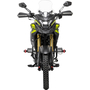 Мотоцикл Spark SP300T-6 Зелений, image , зображення 7