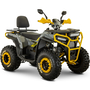 Квадроцикл Spark SP200-5 Желтый, фото 