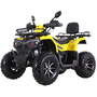 Квадроцикл Spark SP200-10Е Желтый, фото , изображение 2