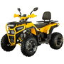 Квадроцикл Spark SP200-5Е Желтый, фото , изображение 2