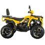 Квадроцикл Spark SP200-5Е Желтый, фото , изображение 3