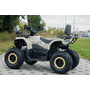Квадроцикл Spark SP200-10 Бежевый, фото , изображение 4