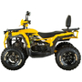 Квадроцикл Spark SP200-5Е Желтый, фото , изображение 4