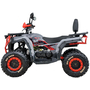 Квадроцикл Spark SP200-5 Красный, фото , изображение 4