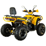 Квадроцикл Spark SP200-5Е Желтый, фото , изображение 5