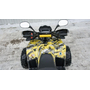 Квадроцикл Spark SP125-13 Желтый, фото , изображение 11