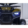 Квадроцикл Spark SP125-12 Желтый, фото , изображение 14