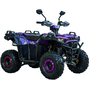 Квадроцикл Spark SP125-11 Фиолетовый, фото 