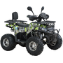 Квадроцикл Spark SP125-13 Зеленый, фото 