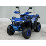 Квадроцикл Spark SP150-11 Синий, фото , изображение 14