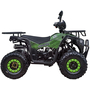 Квадроцикл Spark SP125-12 Зеленый, фото , изображение 2