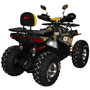 Квадроцикл Spark SP125-13 (2026) Желтый, фото , изображение 2