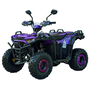 Квадроцикл Spark SP125-11 Фиолетовый, фото , изображение 2