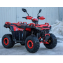Квадроцикл Spark SP125-11 Красный, фото , изображение 2