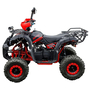 Квадроцикл Spark SP110-4 Красный, фото , изображение 2