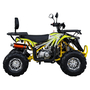 Квадроцикл Spark SP125-15 Желтый, фото , изображение 3