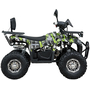 Квадроцикл Spark SP125-13 Зеленый, фото , изображение 3