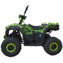 Квадроцикл Spark SP125-11 Зеленый, фото , изображение 4