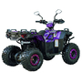 Квадроцикл Spark SP125-11 Фиолетовый, фото , изображение 5
