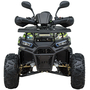 Квадроцикл Spark SP125-13 Зеленый, фото , изображение 7