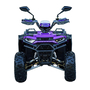Квадроцикл Spark SP125-11 Фиолетовый, фото , изображение 7