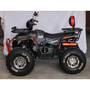 Квадроцикл Spark SP125-13 (2026) Красный, фото , изображение 9