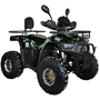 Квадроцикл Spark SP125-12Е Зеленый, фото 