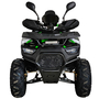 Квадроцикл Spark SP125-12Е Зеленый, фото , изображение 2