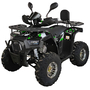 Квадроцикл Spark SP125-12Е Зеленый, фото , изображение 3